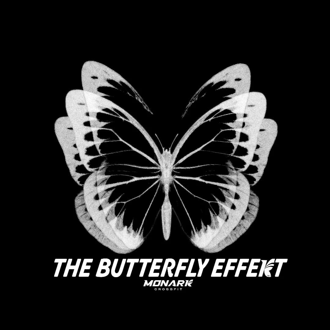 The Butterfly Effekt - 2nd Flight