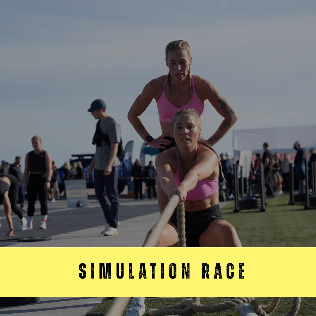 SIMULATION RACE 
