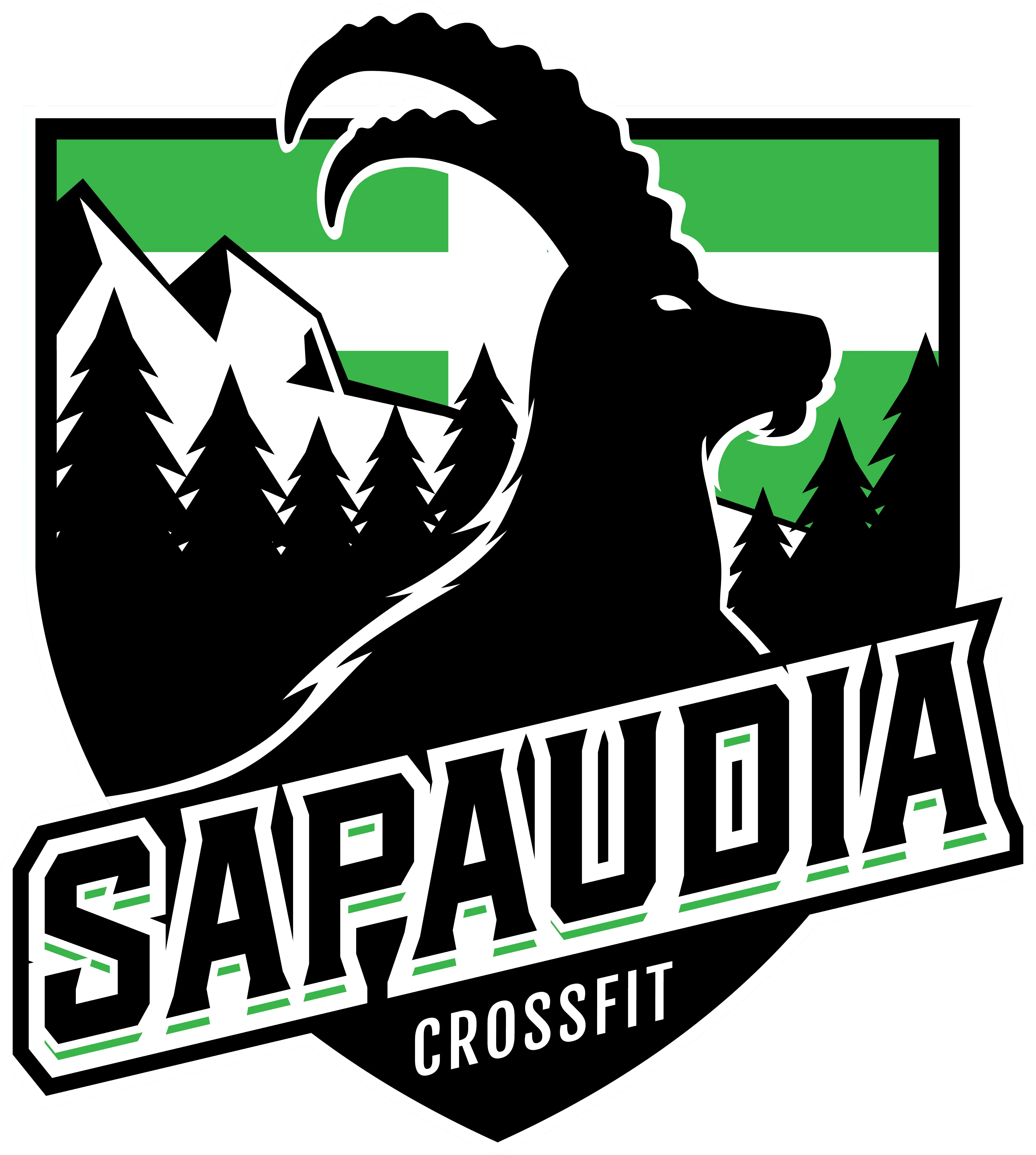SAPAUDIA HYBRID CHALLENGE (CROSSFIT)