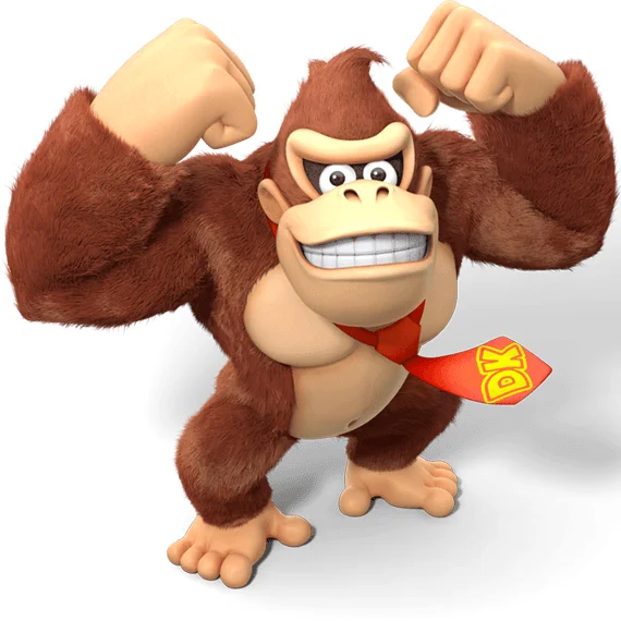 D.K.s Revenge Solo Competition