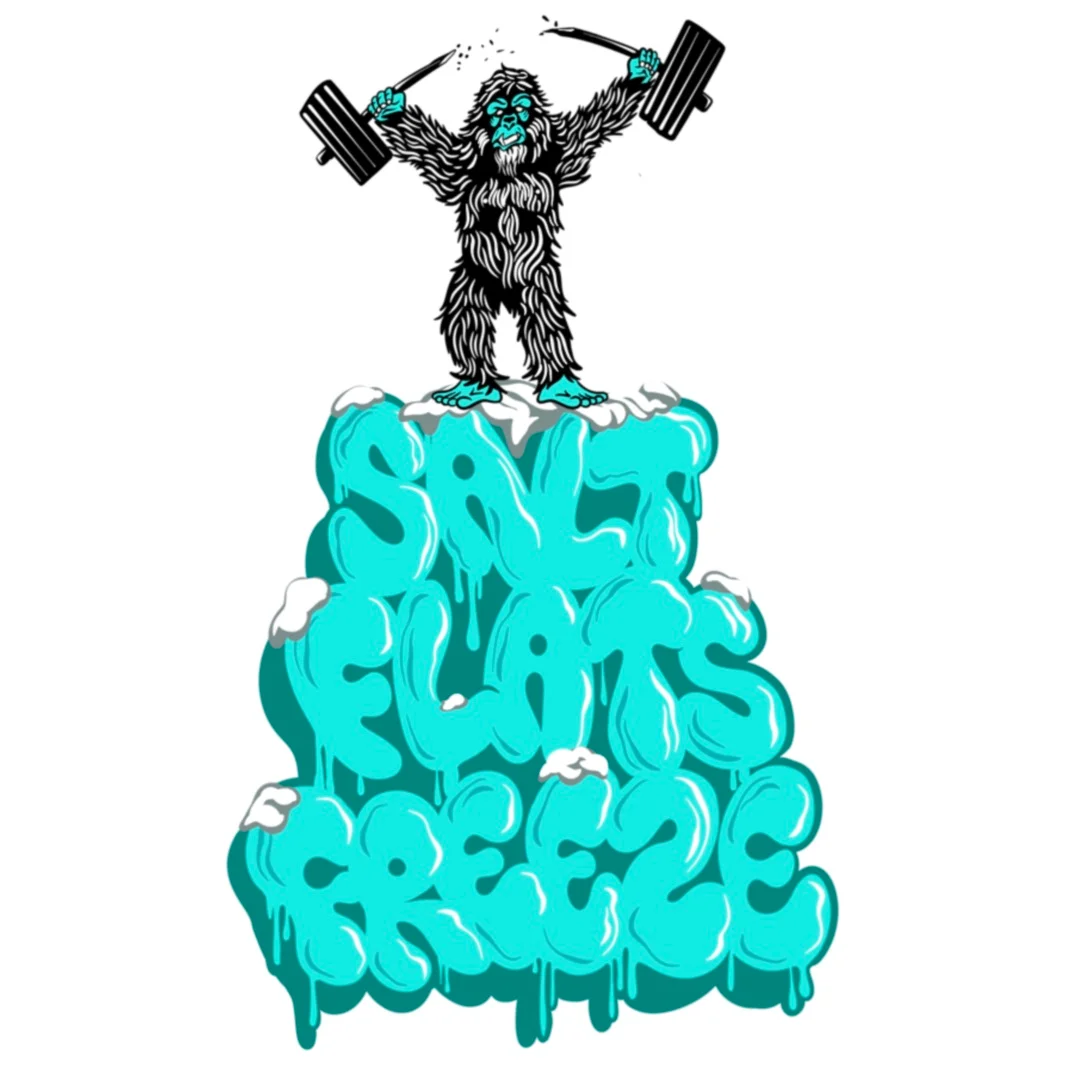 Salt Flats Freeze 2026